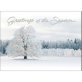 Serene Winter Greetings Holiday card